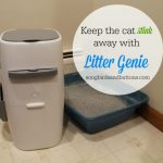 Keep the cat stink away with Litter Genie 