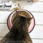 Kitty Love & GOODLIFE™ Cat Food (grain-free!)