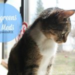 Medications for Pets: Walgreens Pet Meds