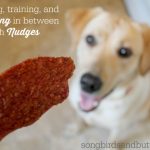 #ad Positive Reinforcement Dog Training with Nudges