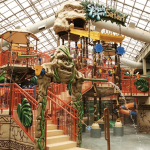 Family Travel: Visiting Kalahari Resorts