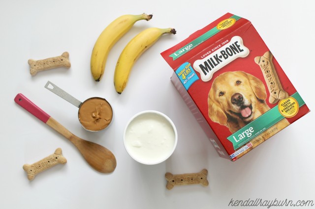 dog treats