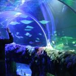 SEA LIFE Michigan Giveaway