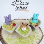 DIY Rabbit Holes