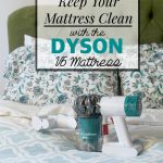 Dyson V6 Mattress