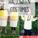 24 Homemade Halloween Costumes
