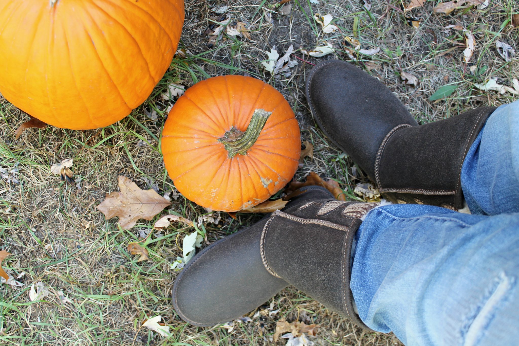 Fall Favorites with Famous Footwear! - Kendall Rayburn