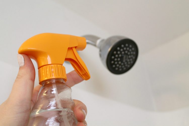 Cleaning Vinegar (and how to use it!) Kendall Rayburn