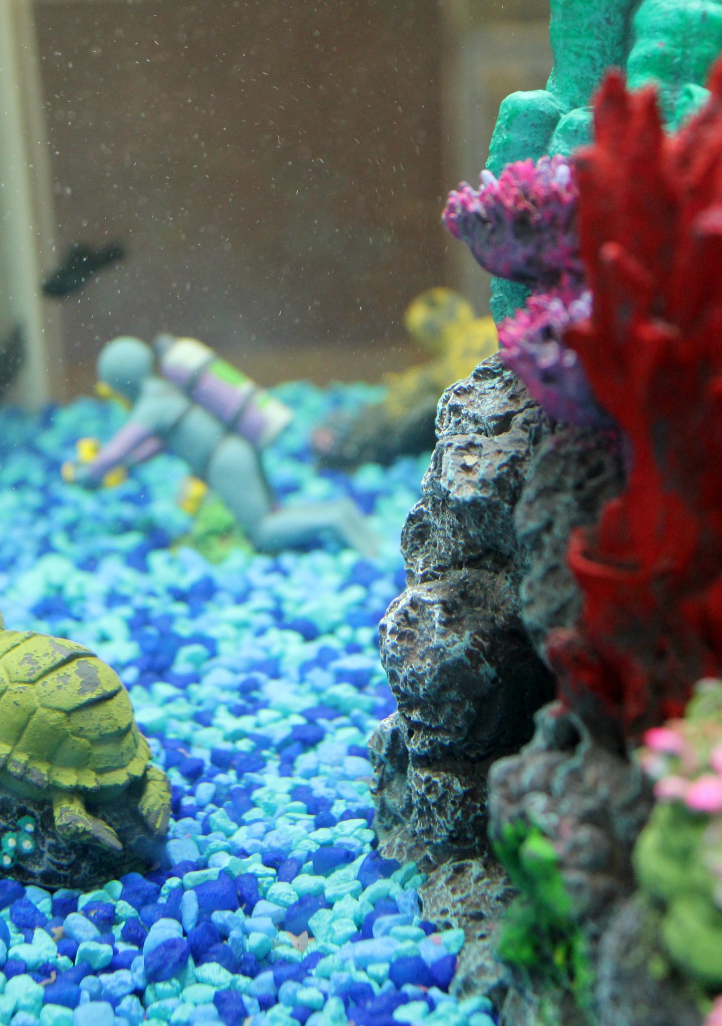 PetSmart Fish: Why our home will always have fish! - Kendall Rayburn