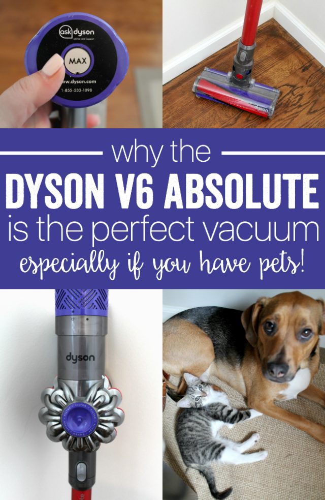 Dyson V6 Absolute