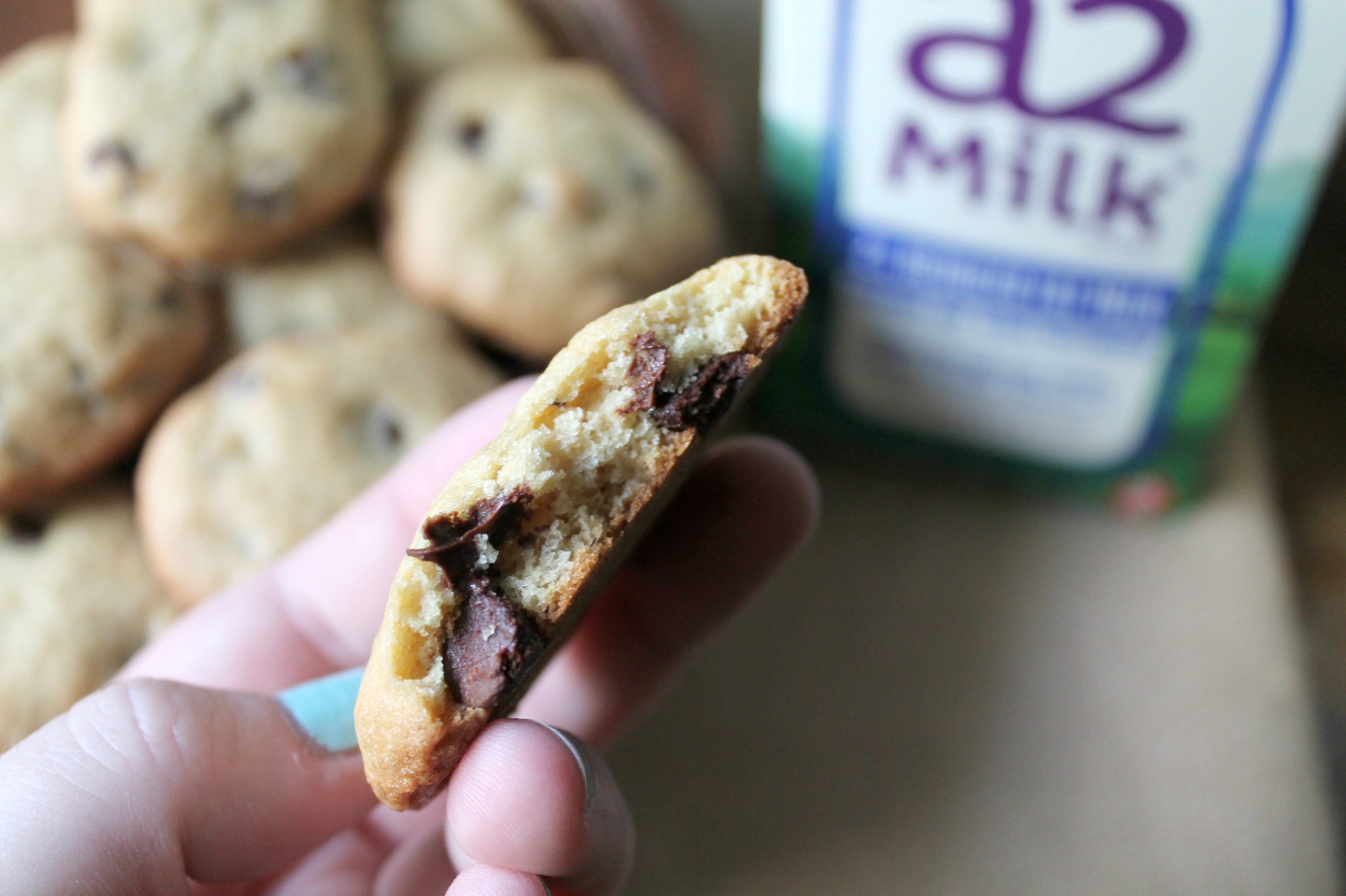 The Best Chocolate Chip Cookie Recipe