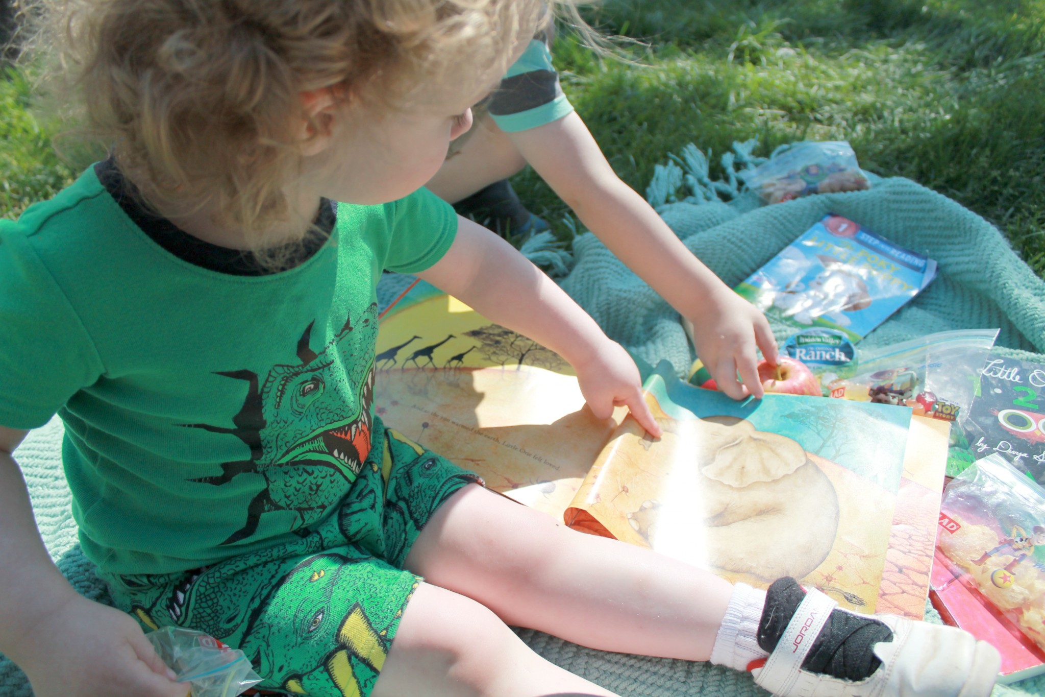 Tips for having a stress-free family picnic