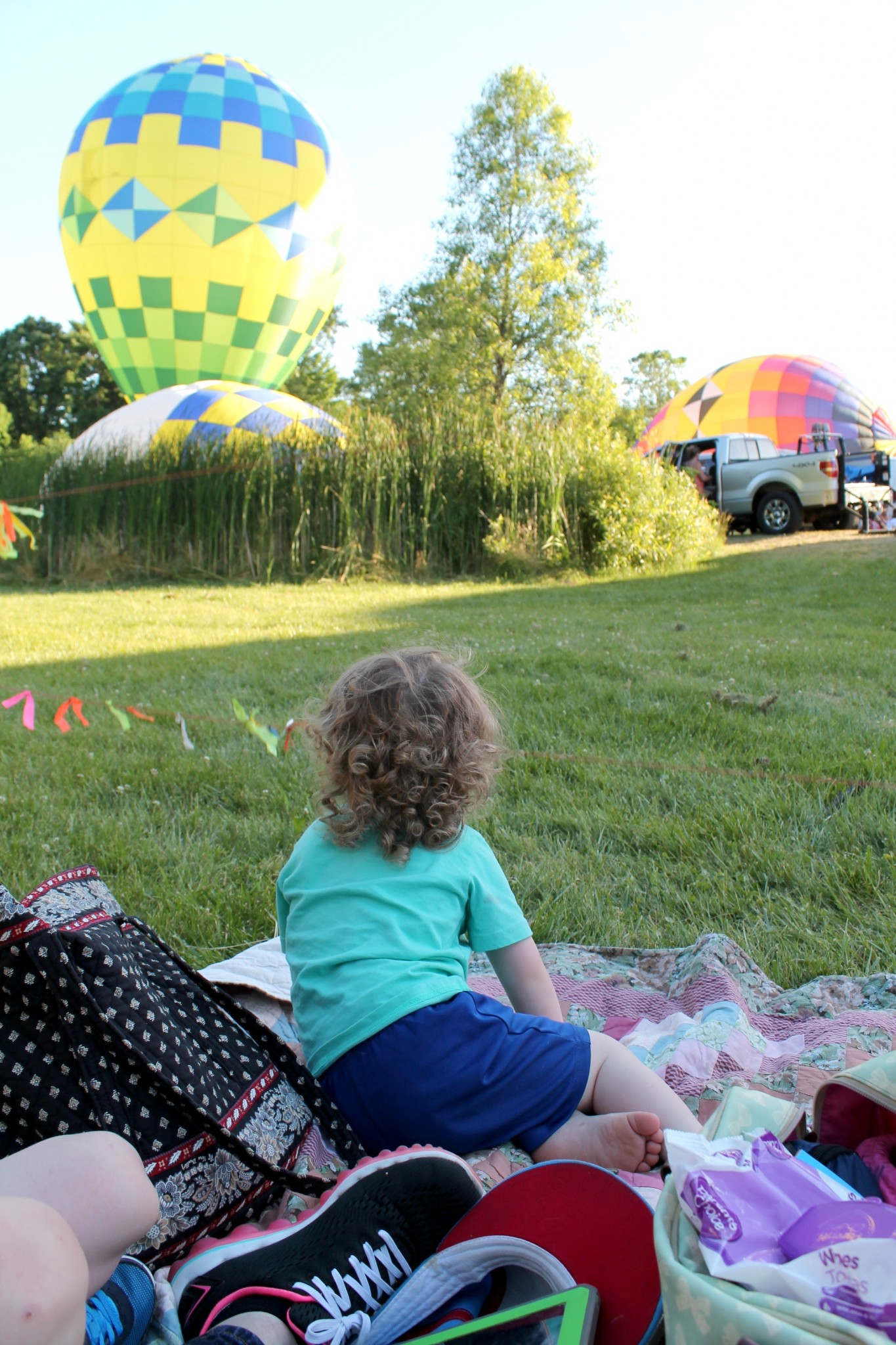 Michigan Challenge Balloon Fest 2016