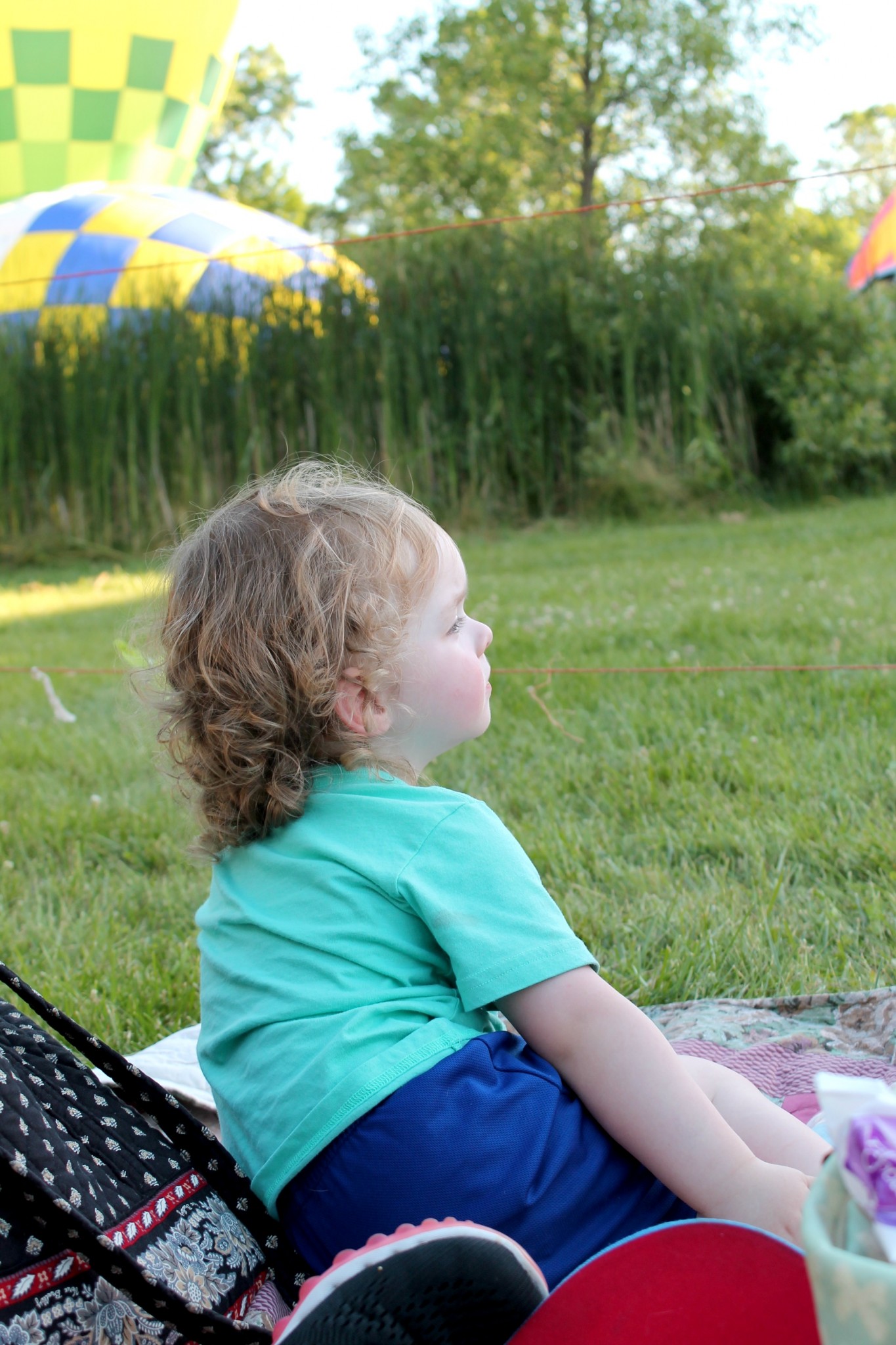 Michigan Challenge Balloon Fest 2016