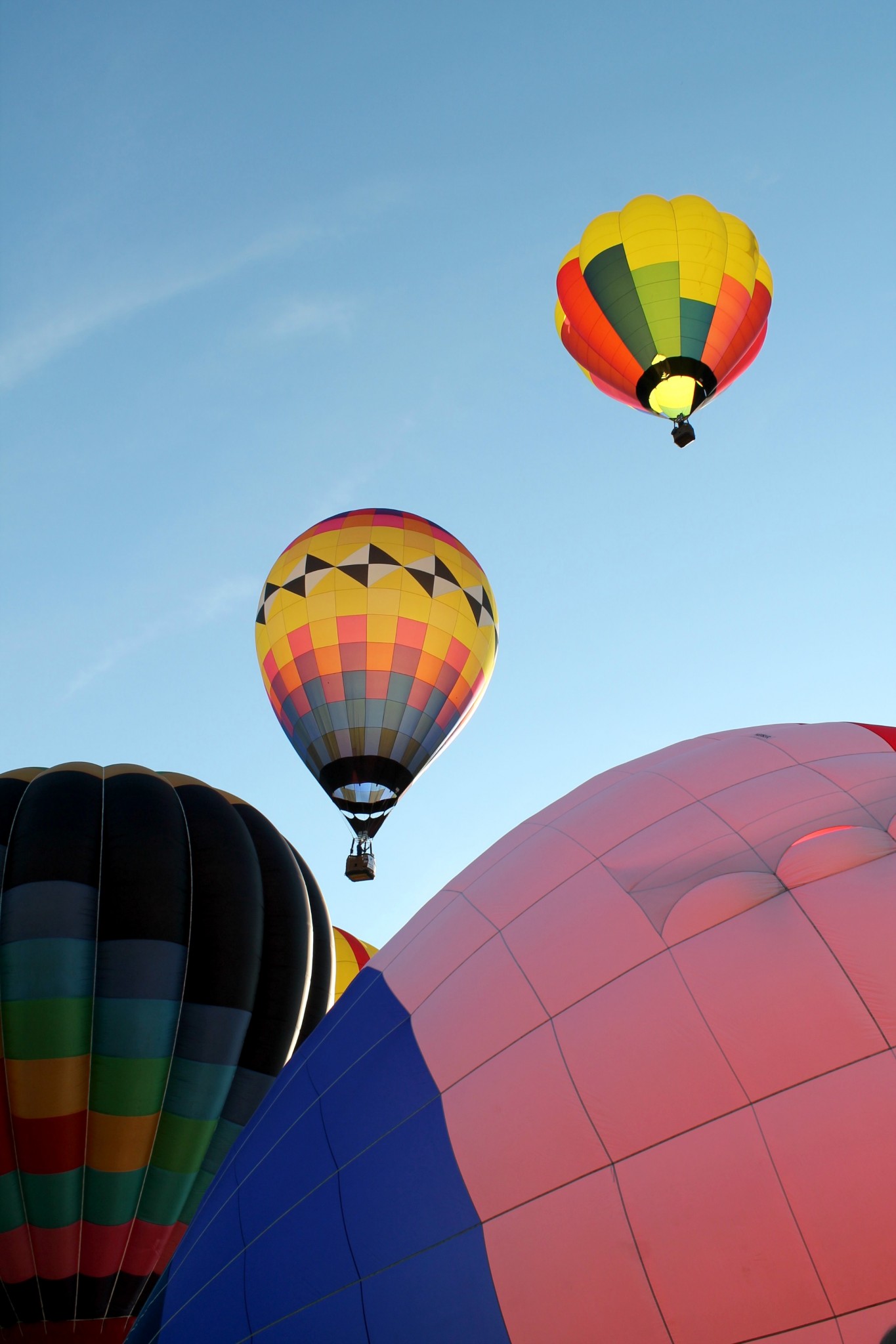 Michigan Challenge Balloon Fest 2016