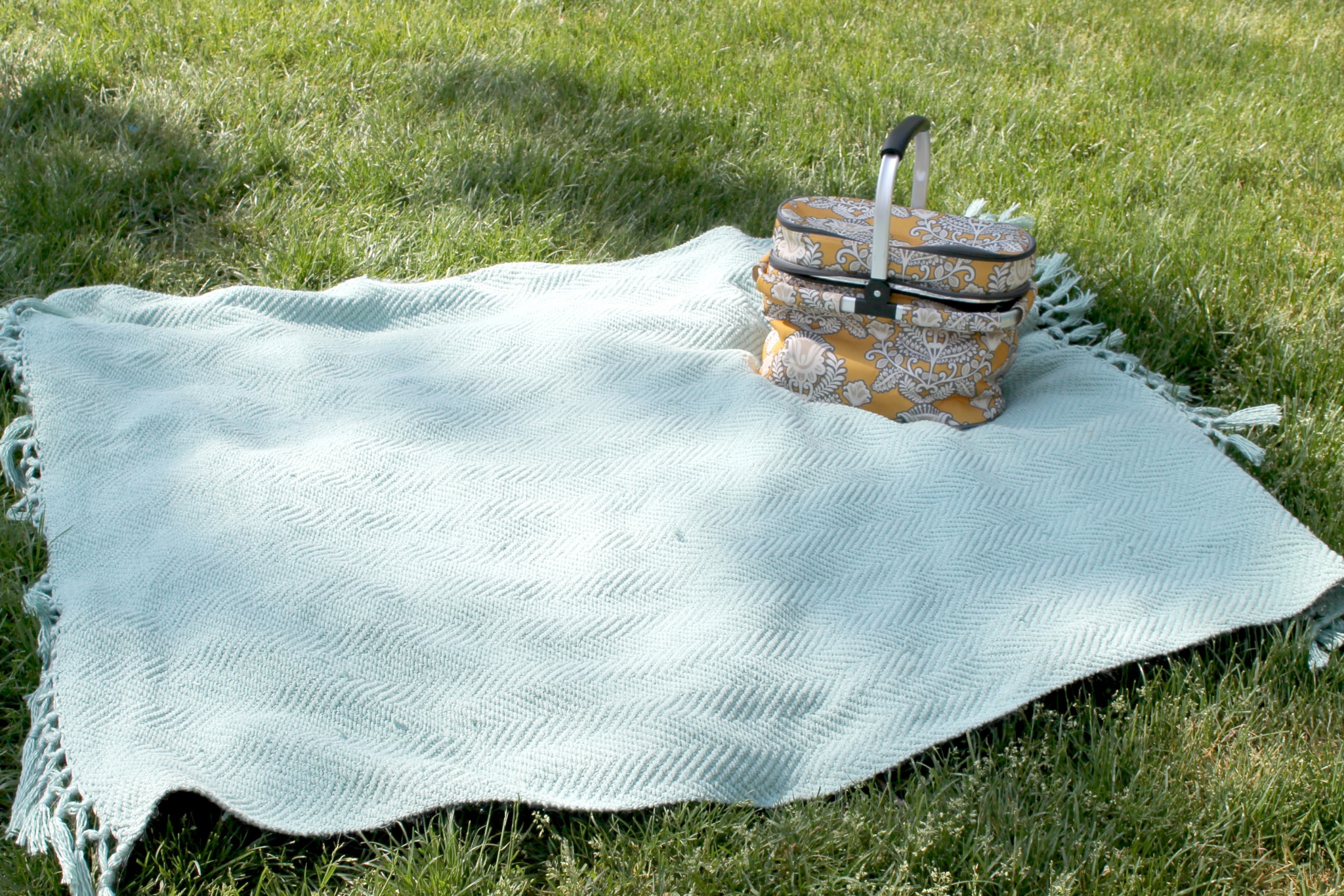 Tips for having a stress-free family picnic