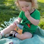 Tips for having a stress-free family picnic