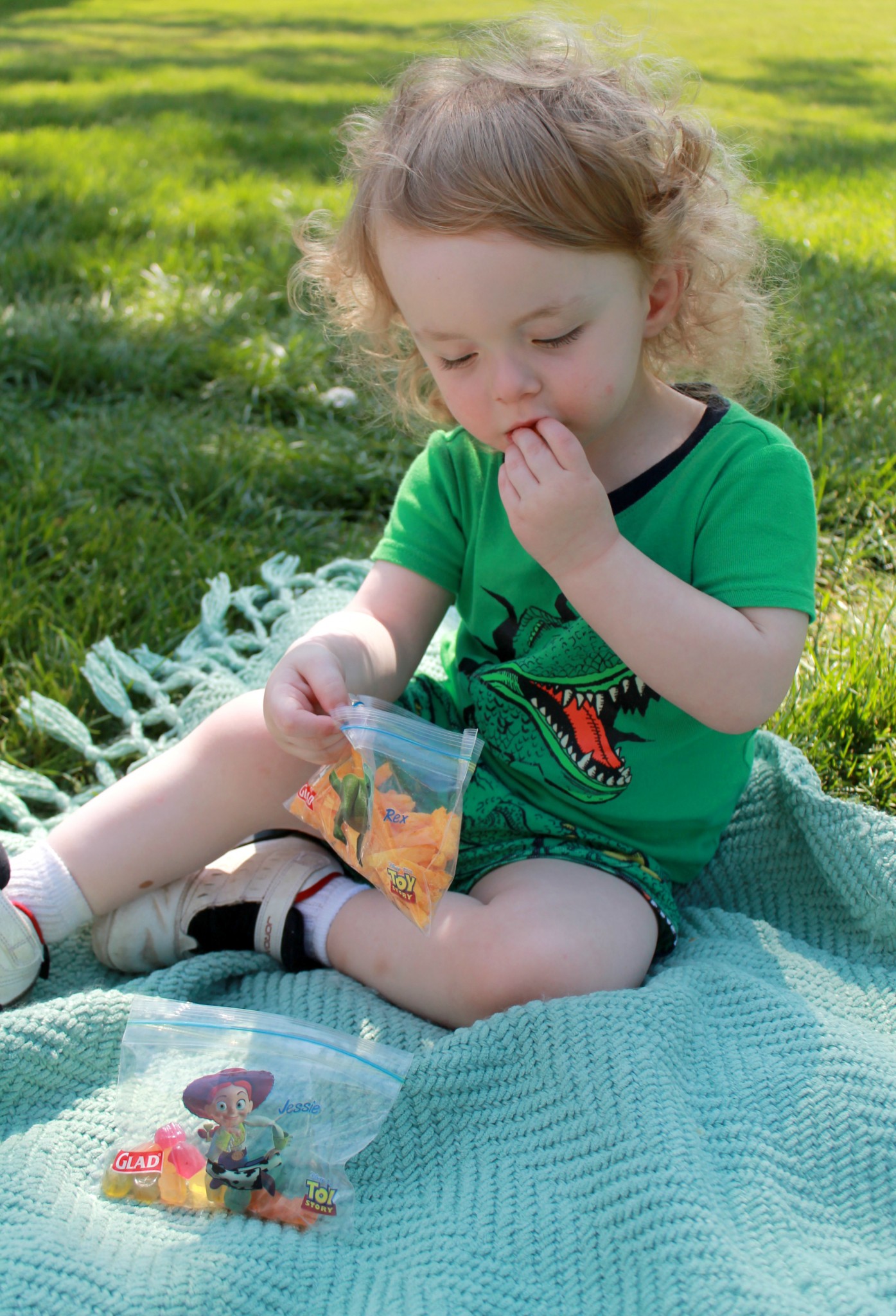 Tips for having a stress-free family picnic