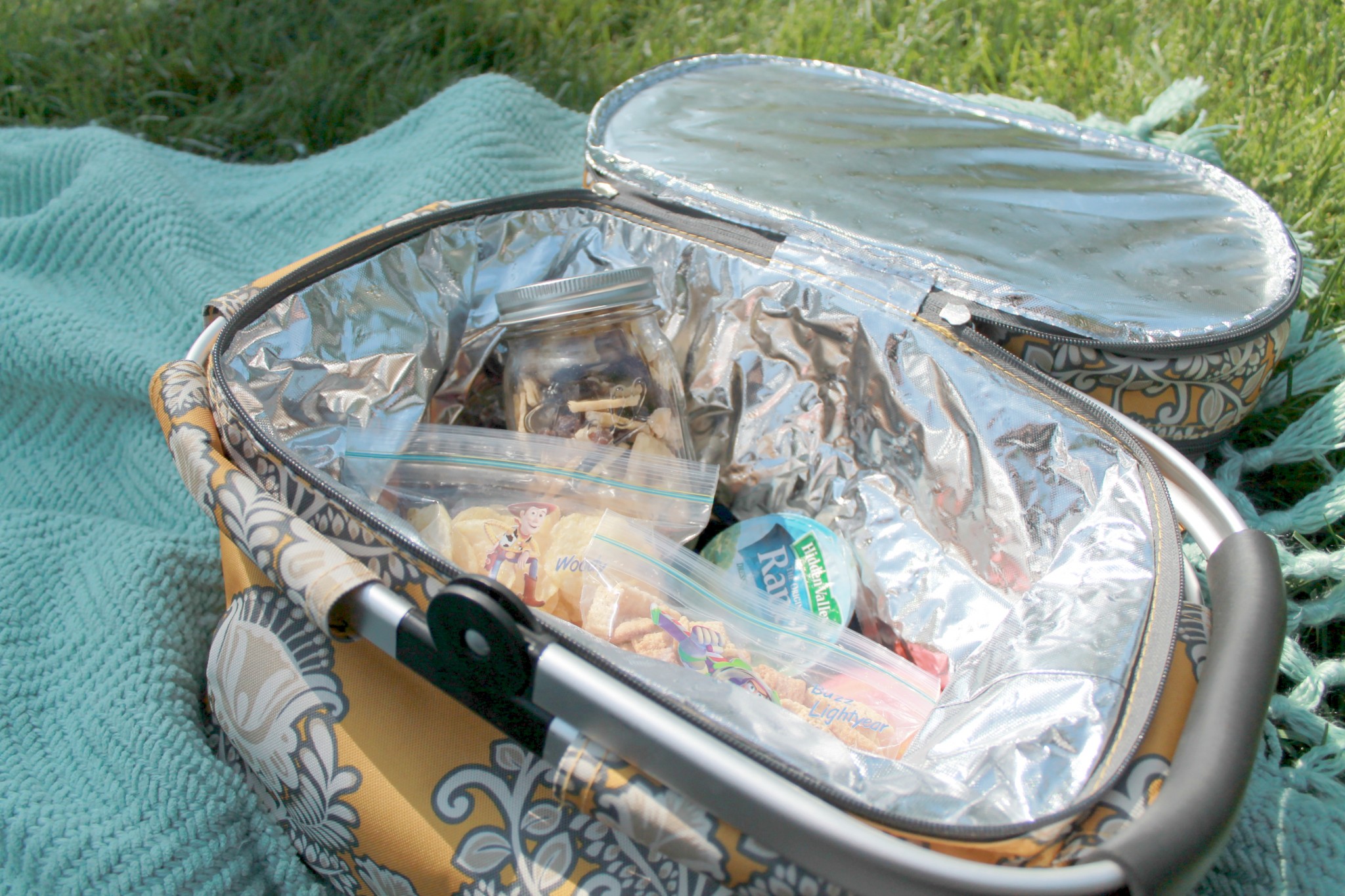 Tips for having a stress-free family picnic