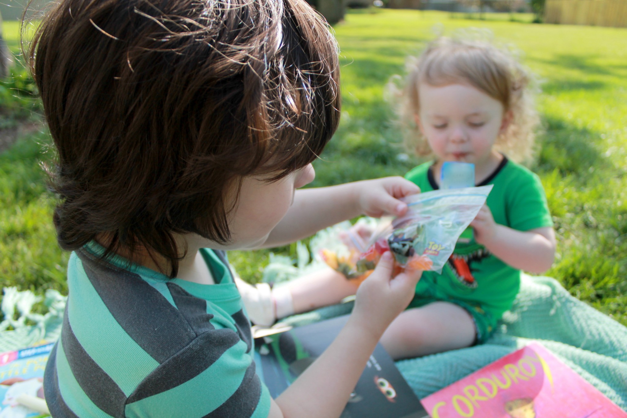 Tips for having a stress-free family picnic