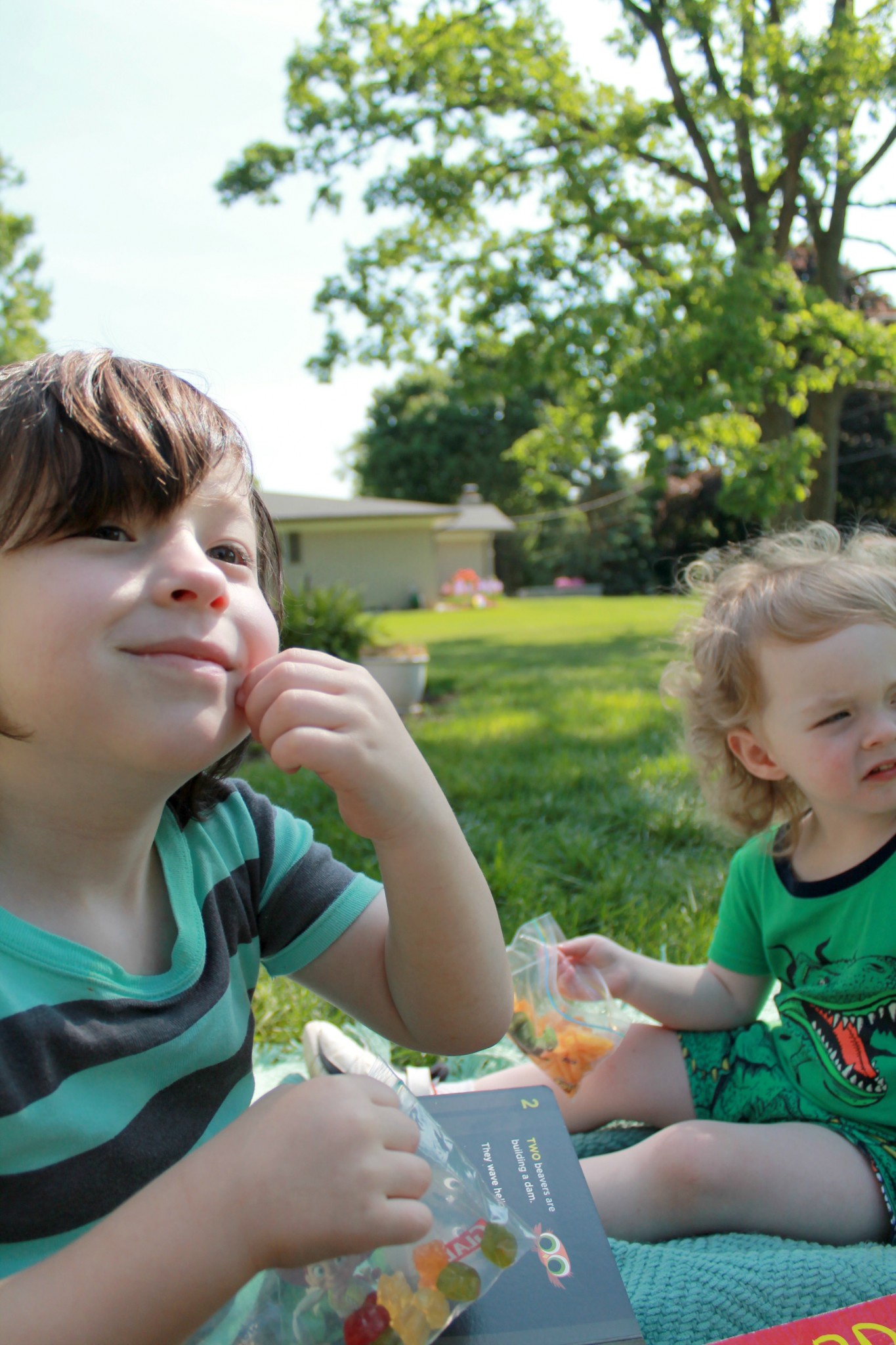 Tips for having a stress-free family picnic