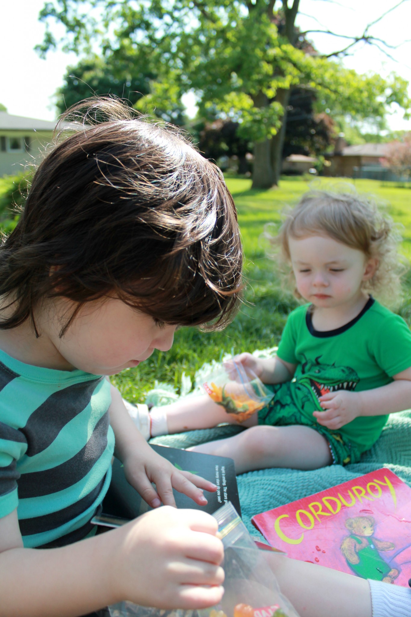 Tips for having a stress-free family picnic