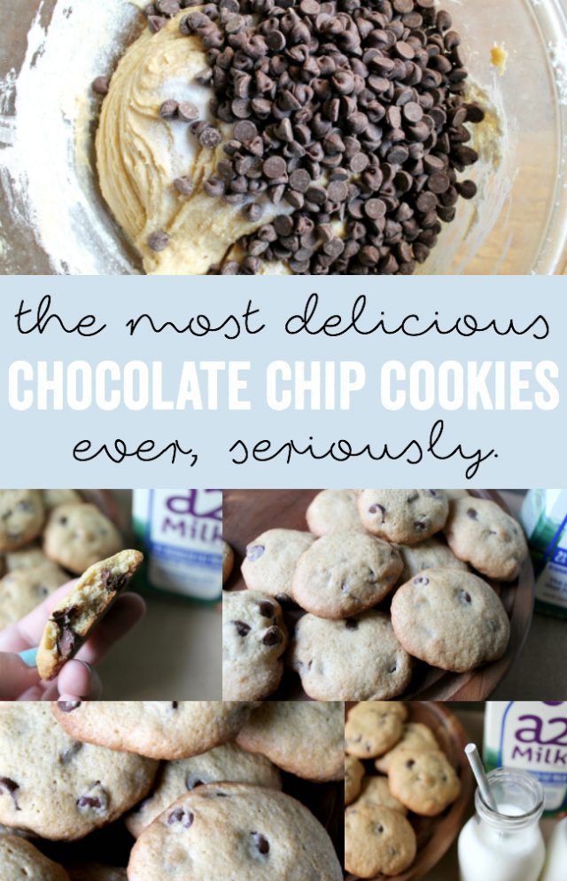 The Best Chocolate Chip Cookie Recipe