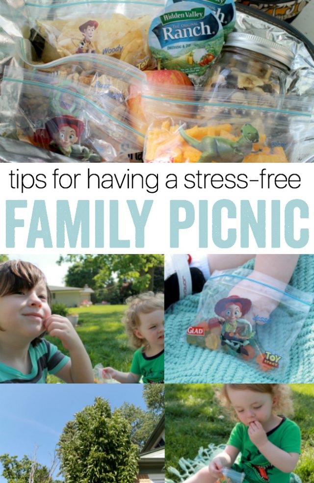 Tips for having a stress-free family picnic