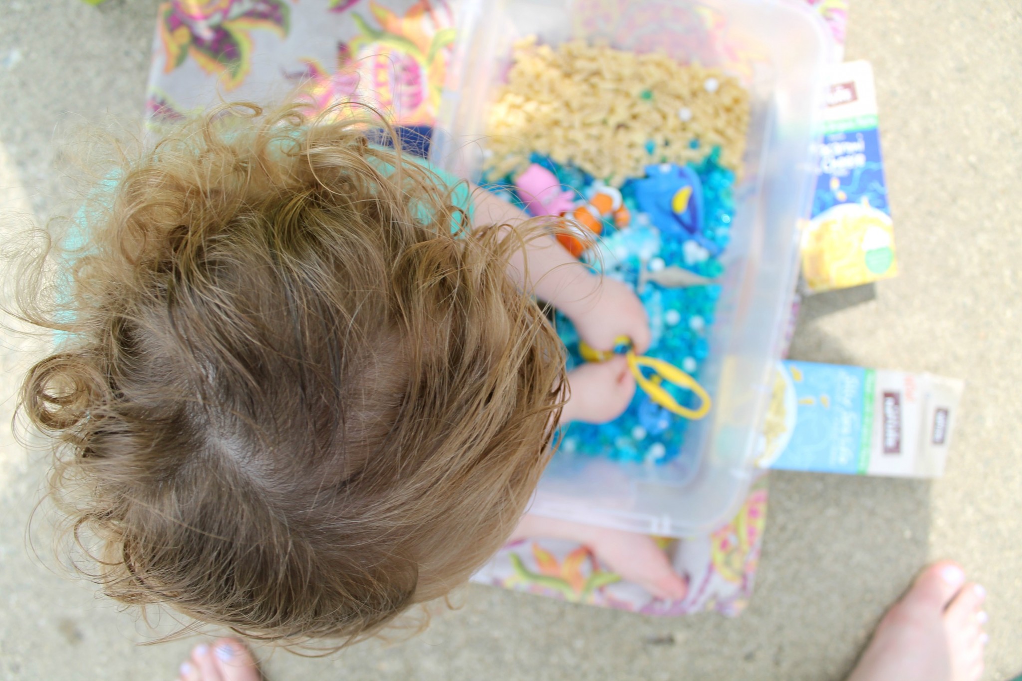 Ocean Sensory Bin Tutorial