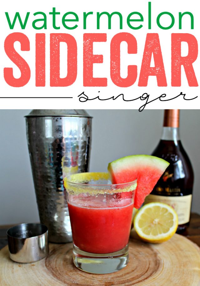 Watermelon Sidecar Singer