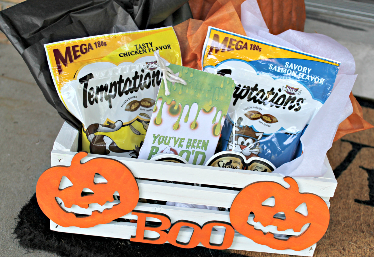 Halloween BOO kit