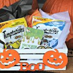 How to Make a Halloween BOO kit for Cats!
