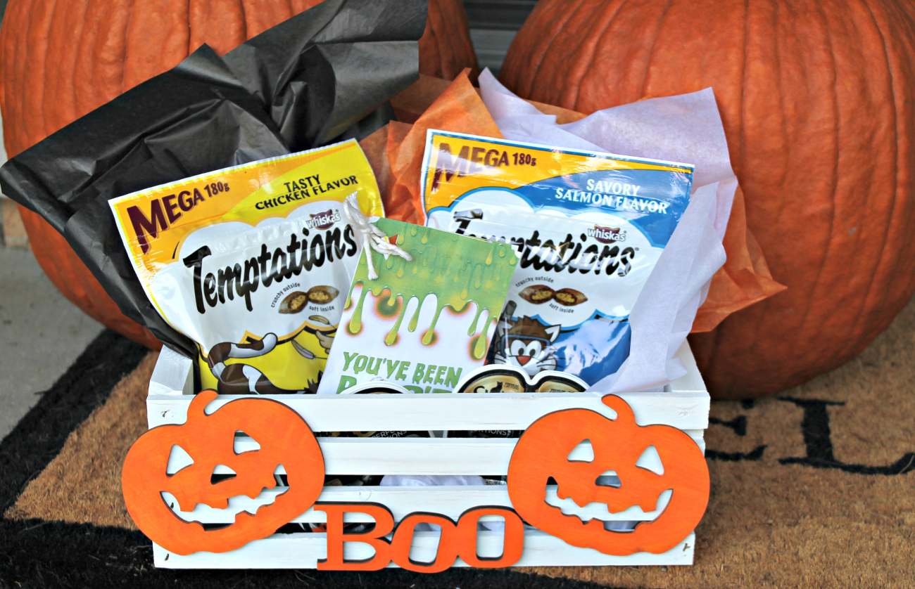 Halloween BOO kit