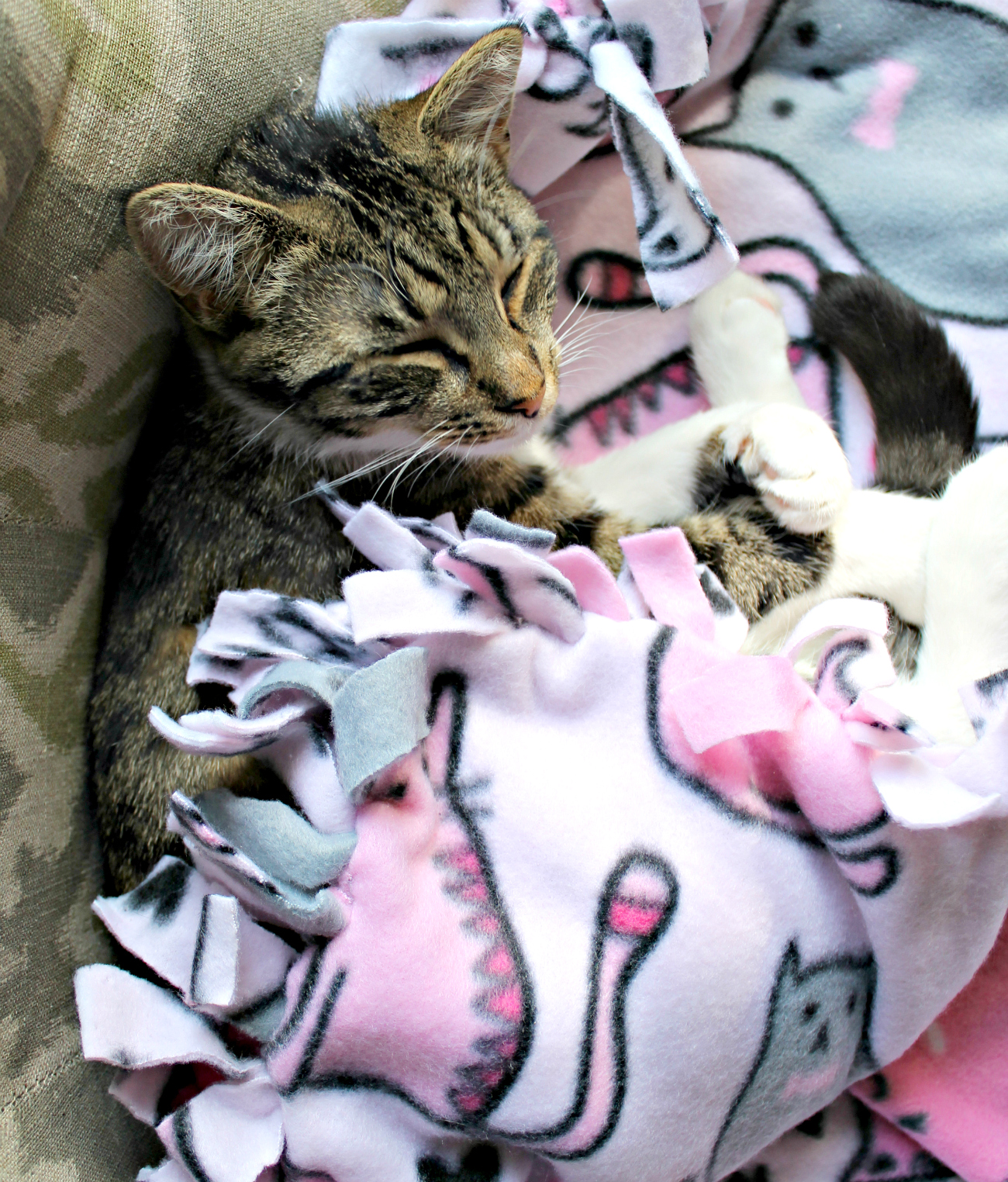 DIY Pet Blanket