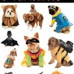 20 Halloween Costumes for Dogs!