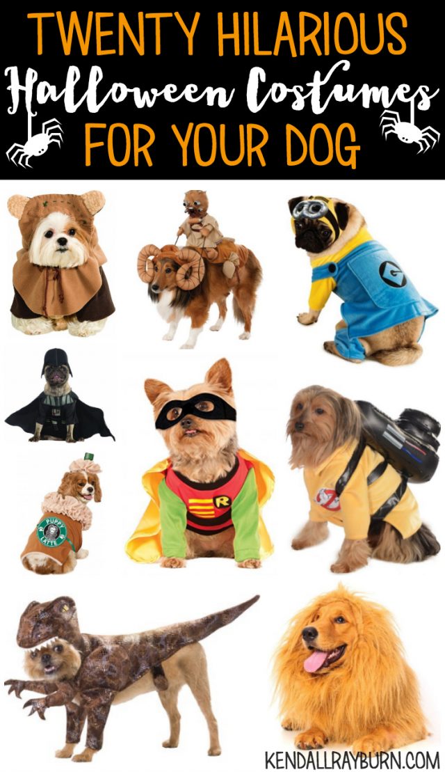 20 Hilarious Halloween Costumes for Dogs