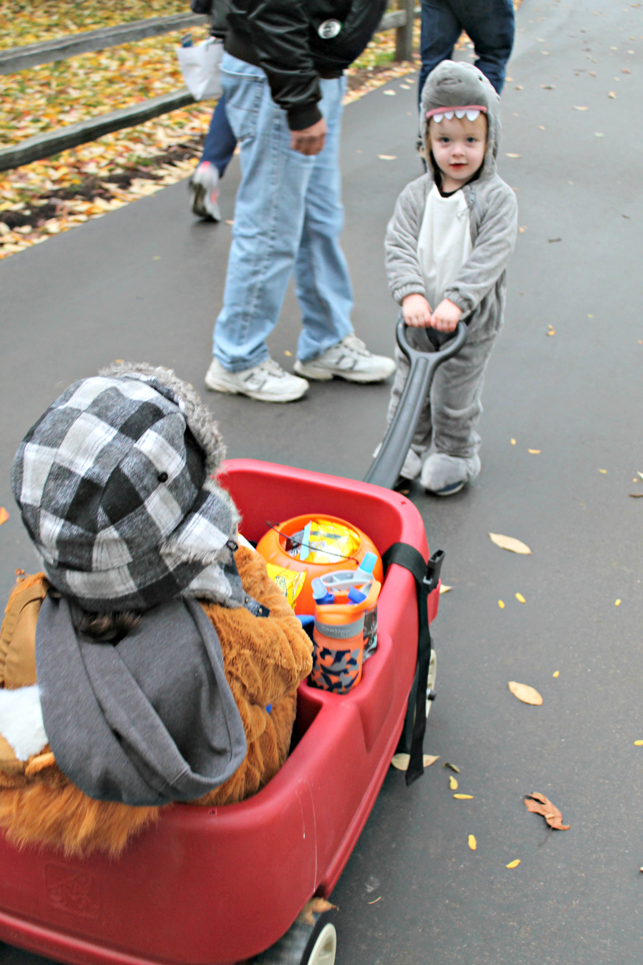 Detroit Zoo Boo with the Toyota RAV4