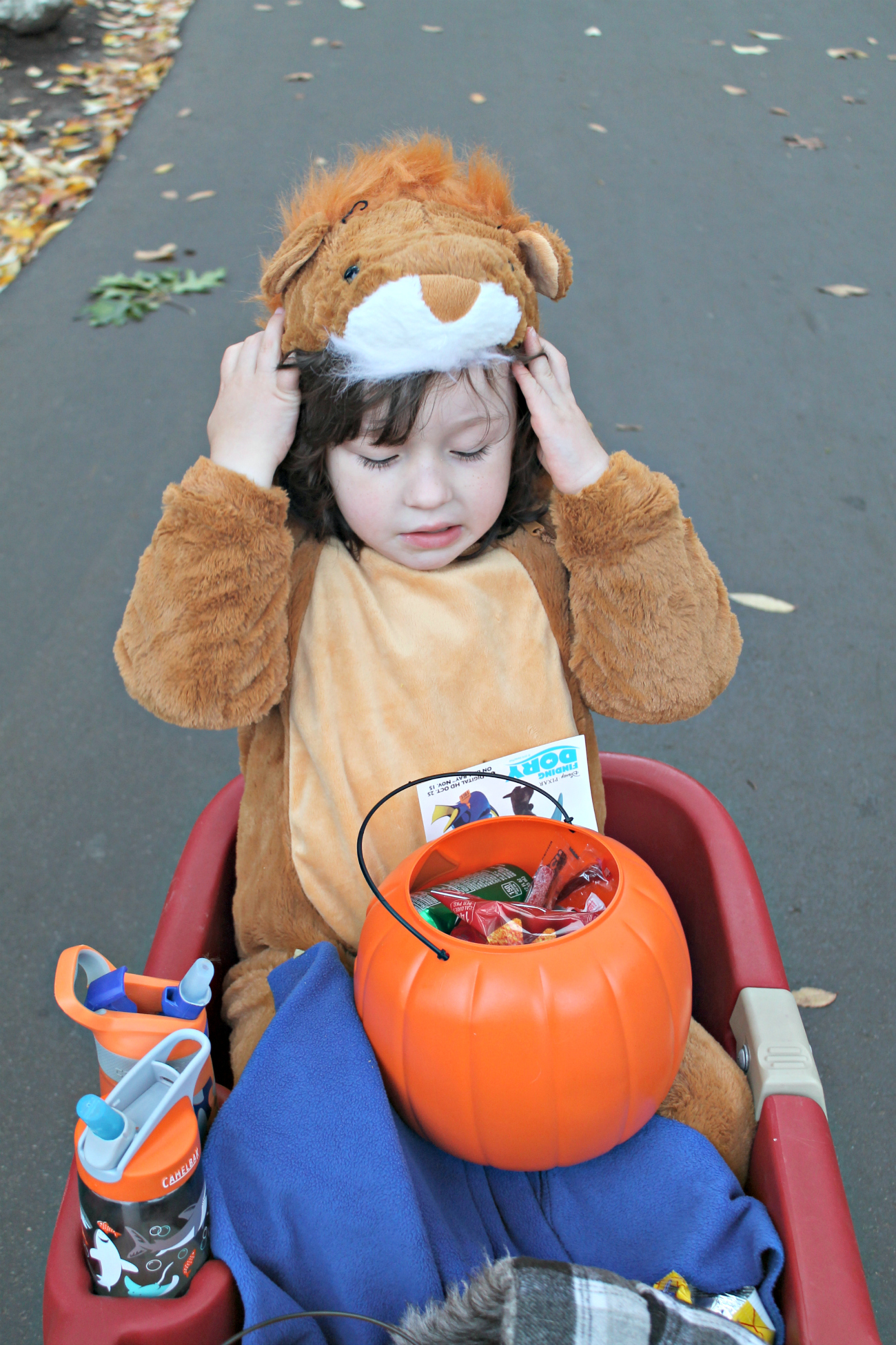 Detroit Zoo Boo with the Toyota RAV4