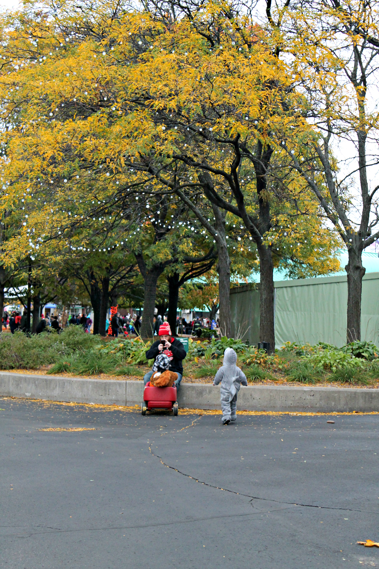 Detroit Zoo Boo with the Toyota RAV4