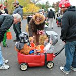 Detroit Zoo Boo