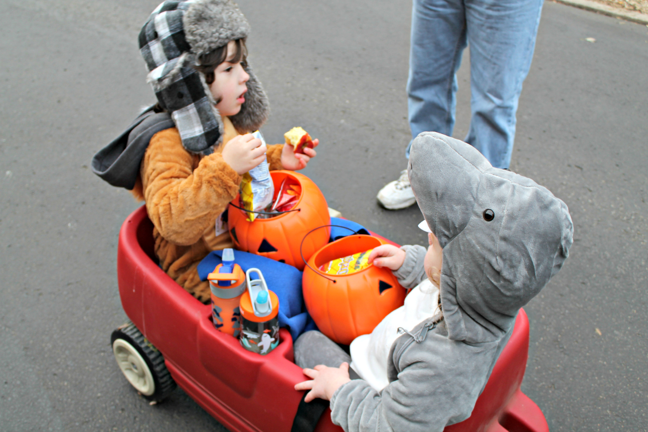 Detroit Zoo Boo with the Toyota RAV4