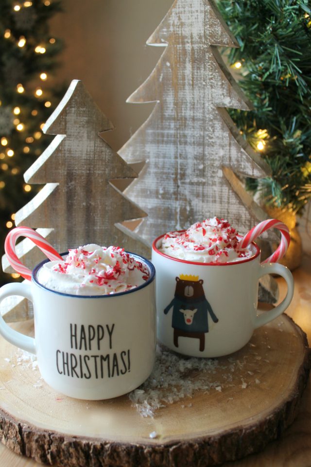 The Best EVER Crock Pot Peppermint Hot Chocolate