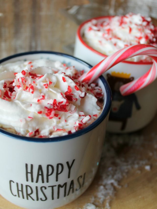 The Best EVER Crock Pot Peppermint Hot Chocolate