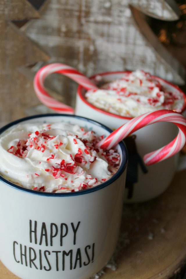 The Best EVER Crock Pot Peppermint Hot Chocolate