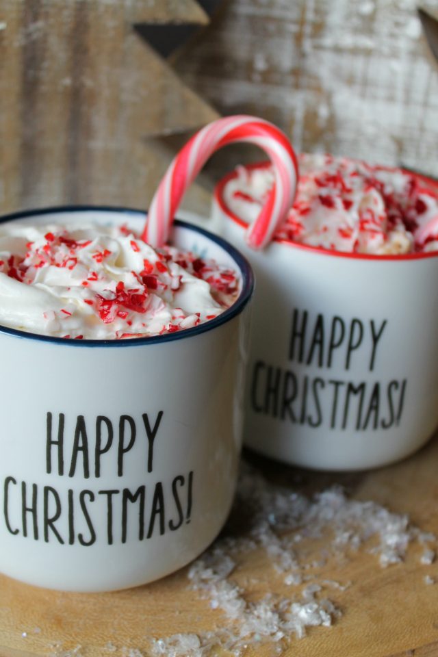 The Best EVER Crock Pot Peppermint Hot Chocolate