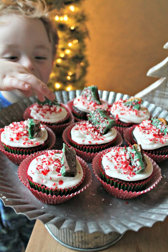 Holiday Bark Cupcakes