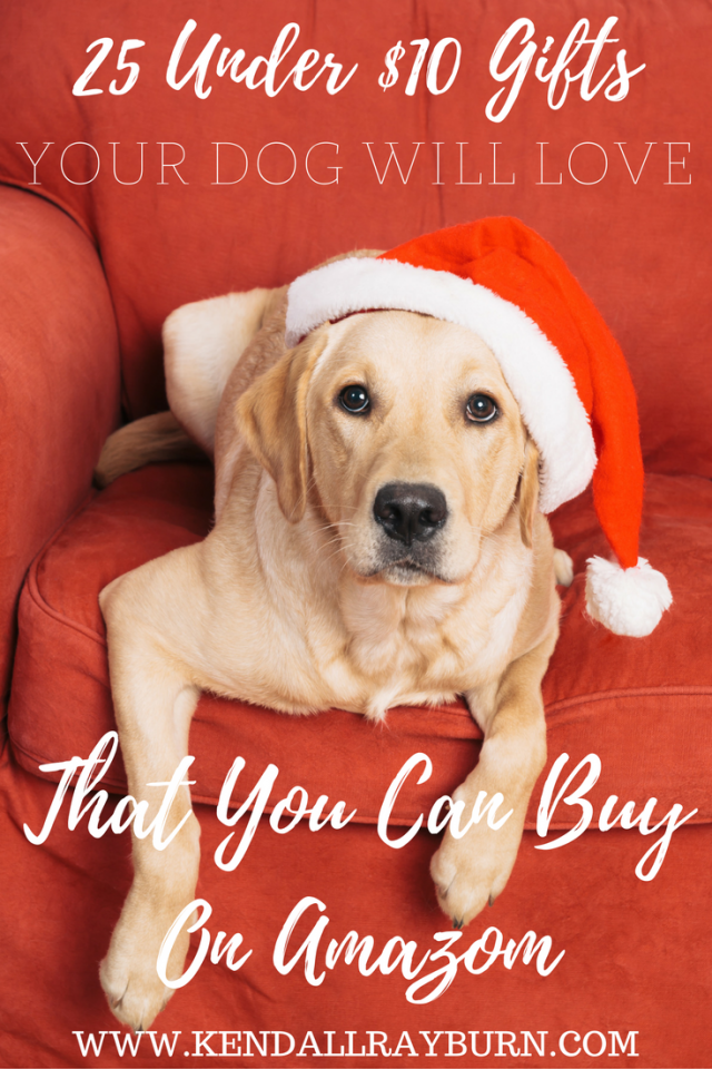 Dog Gifts To Spoil Your Pet: The 38 Best Christmas Gifts For Dogs