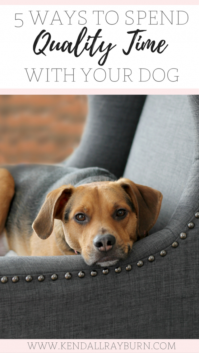 5 Ways to Spend Quality Time with Your Dog