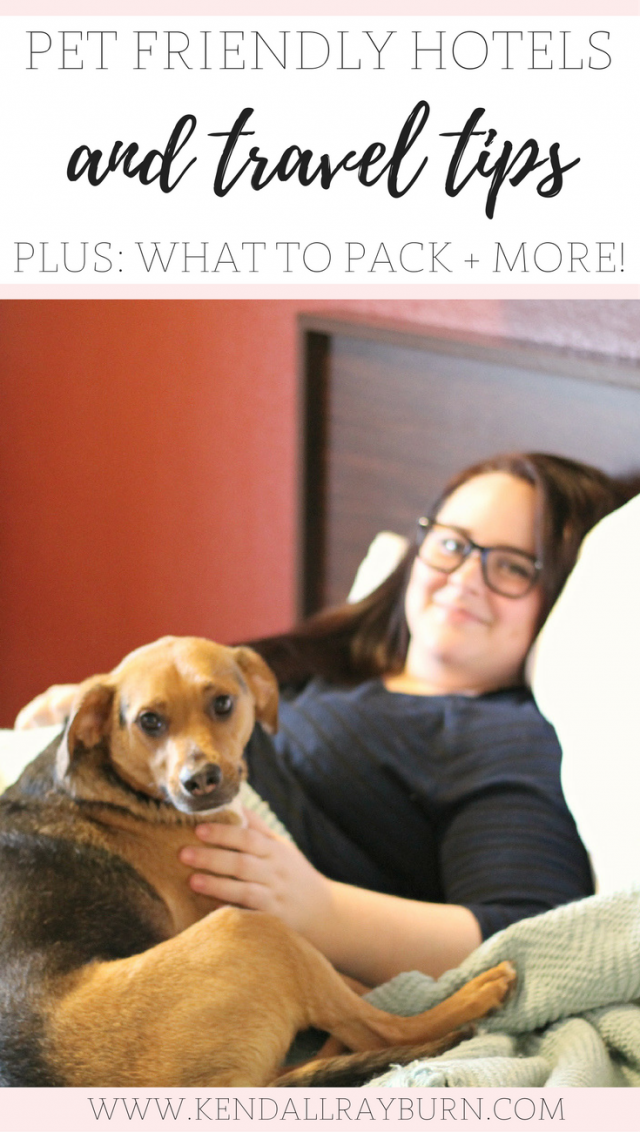 Pet Friendly Hotels and Travel Tips