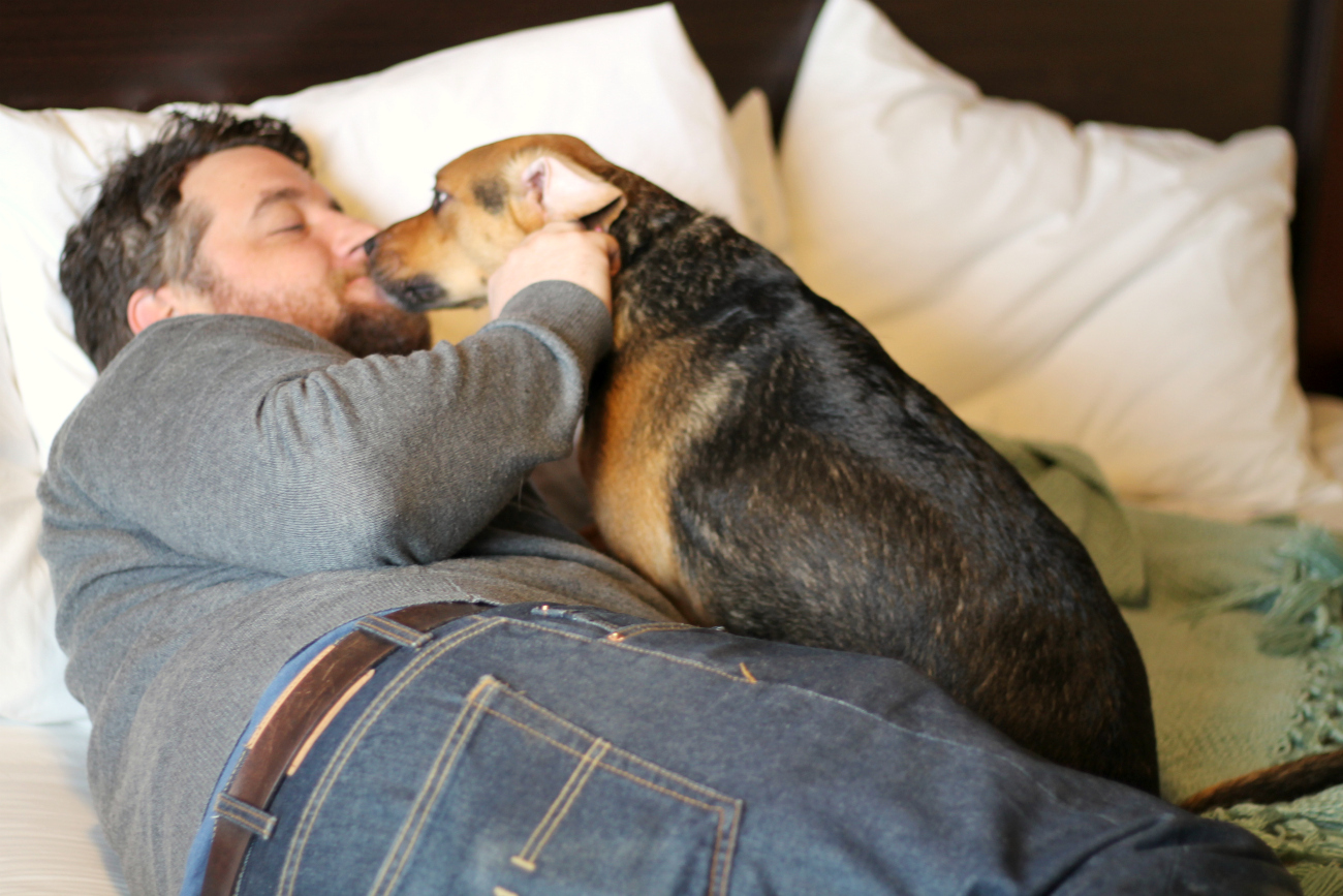 Pet Friendly Hotels and Travel Tips